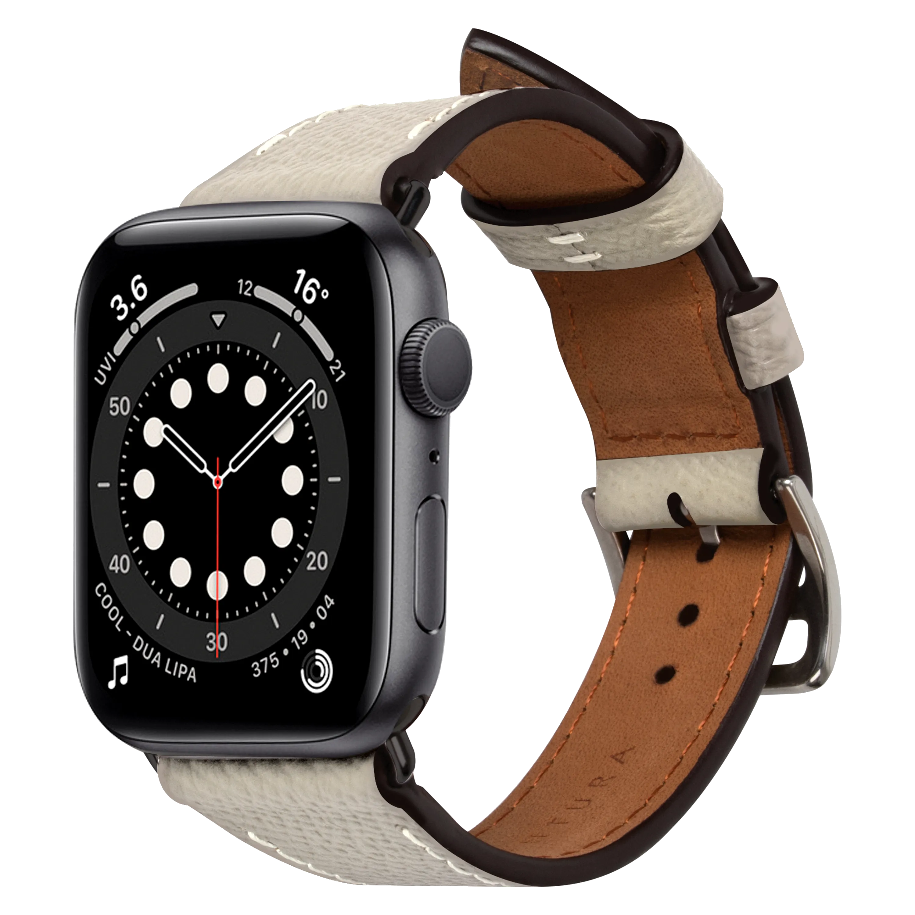 Apple Watch Band (45 mm)