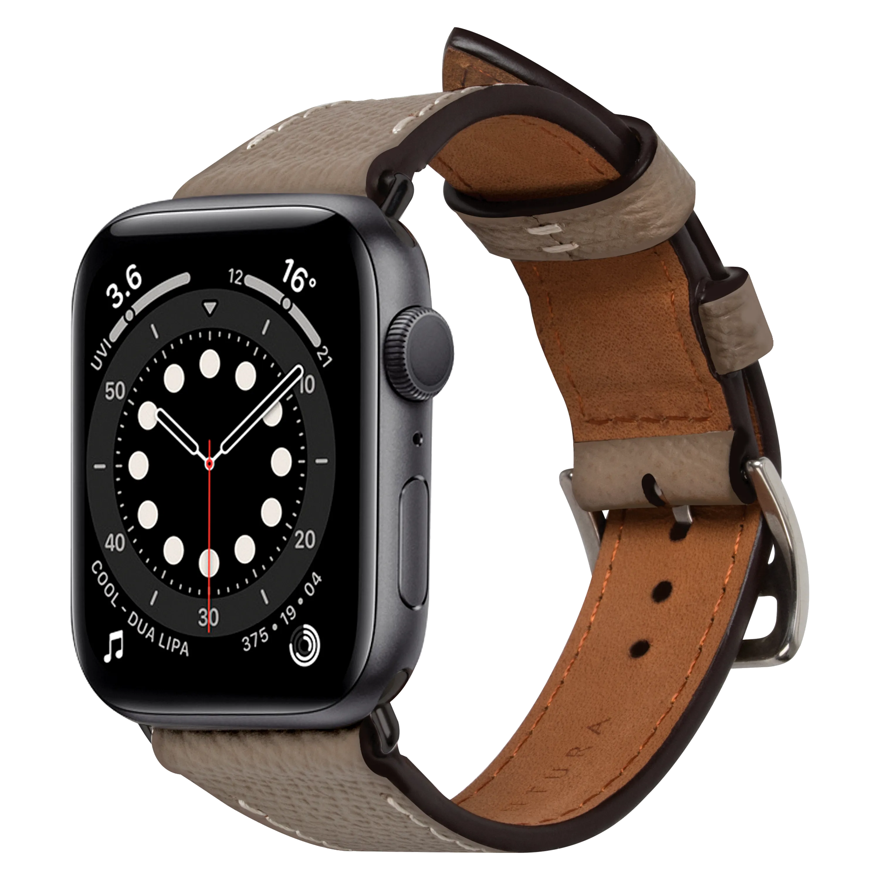 Apple Watch Band (45 mm)