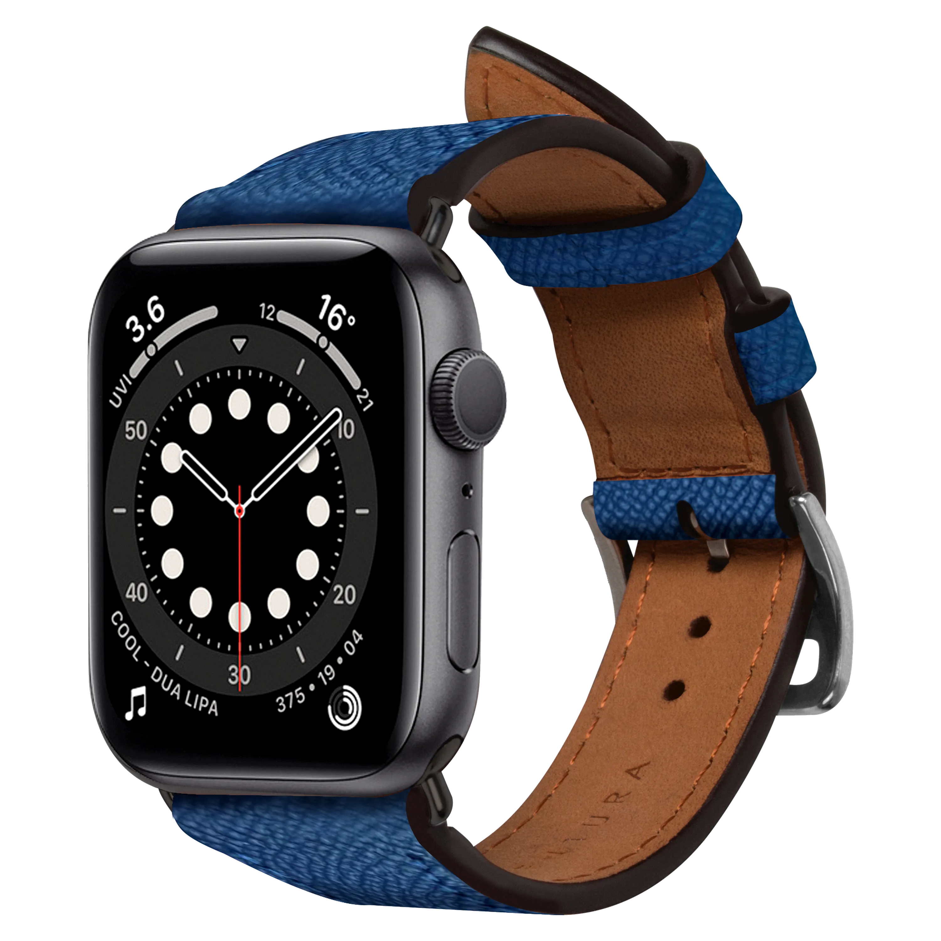 Apple Watch Band (45 mm)