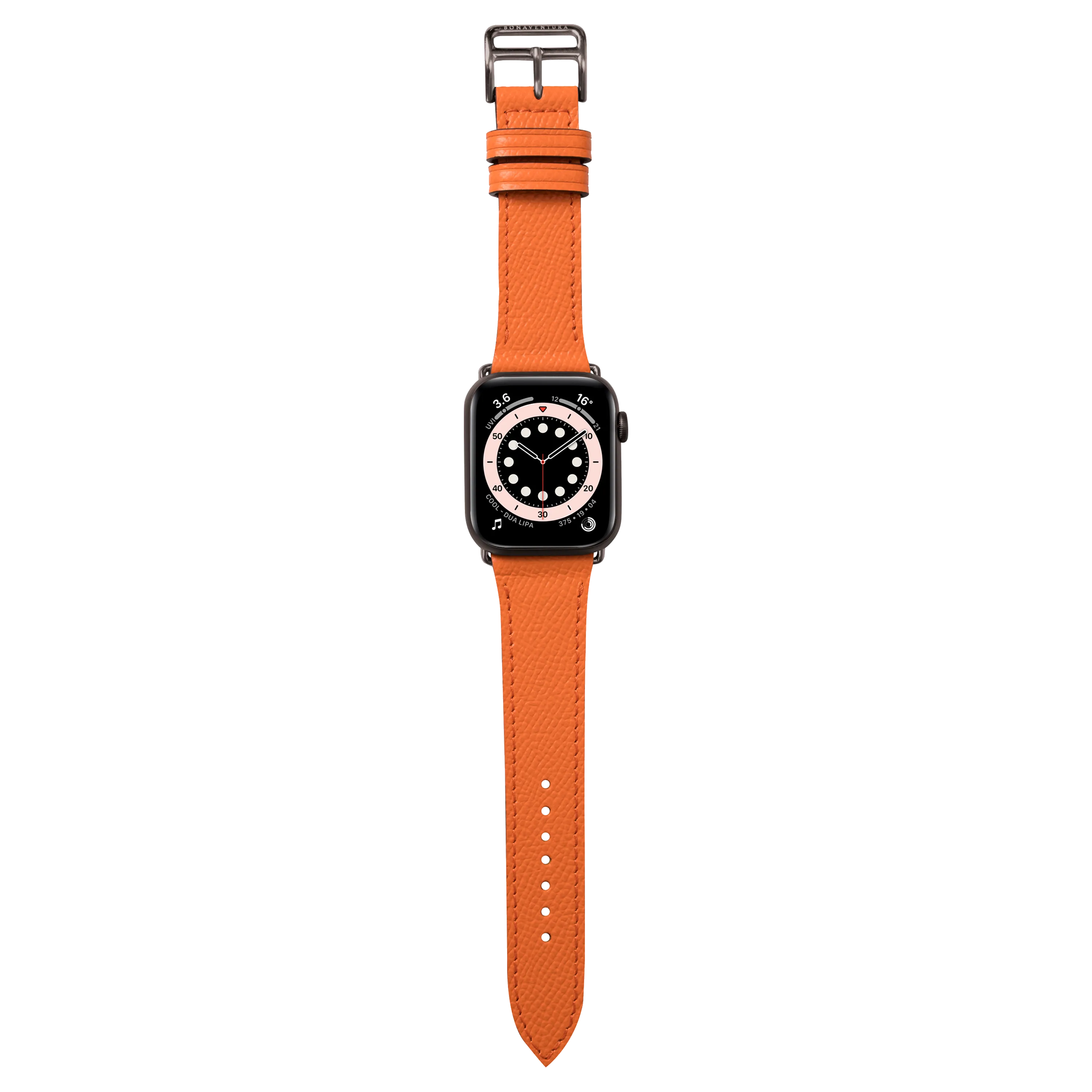 Apple Watch Band (45 mm)