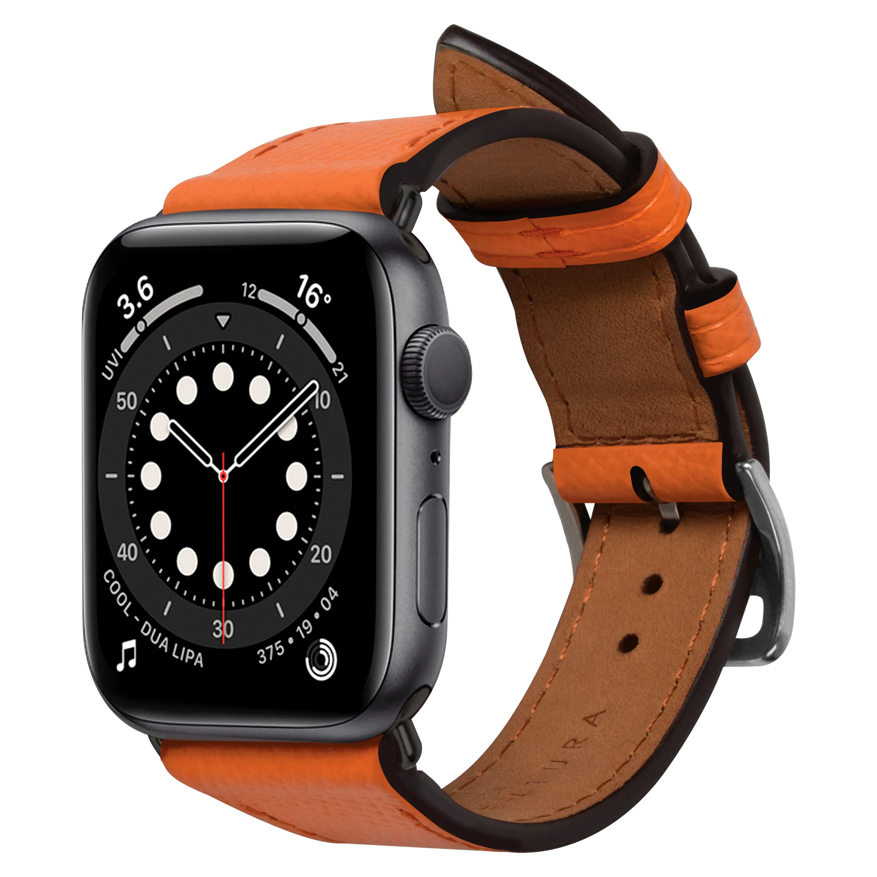 Apple Watch Band (45 mm)