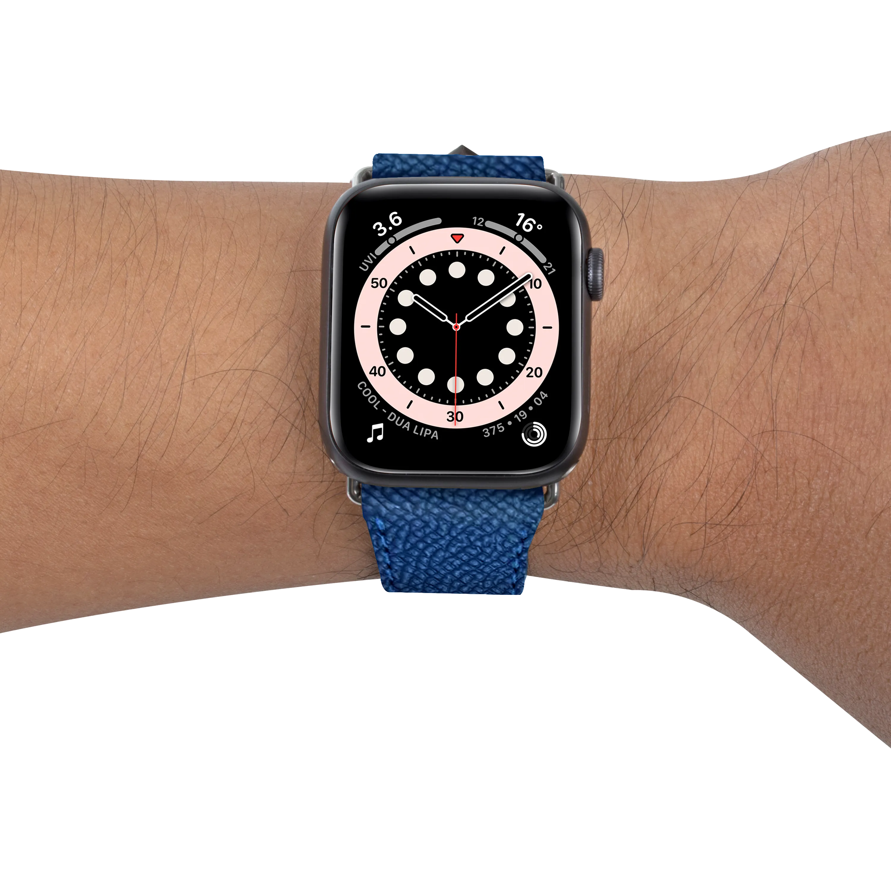 Apple Watch Band (45 mm)