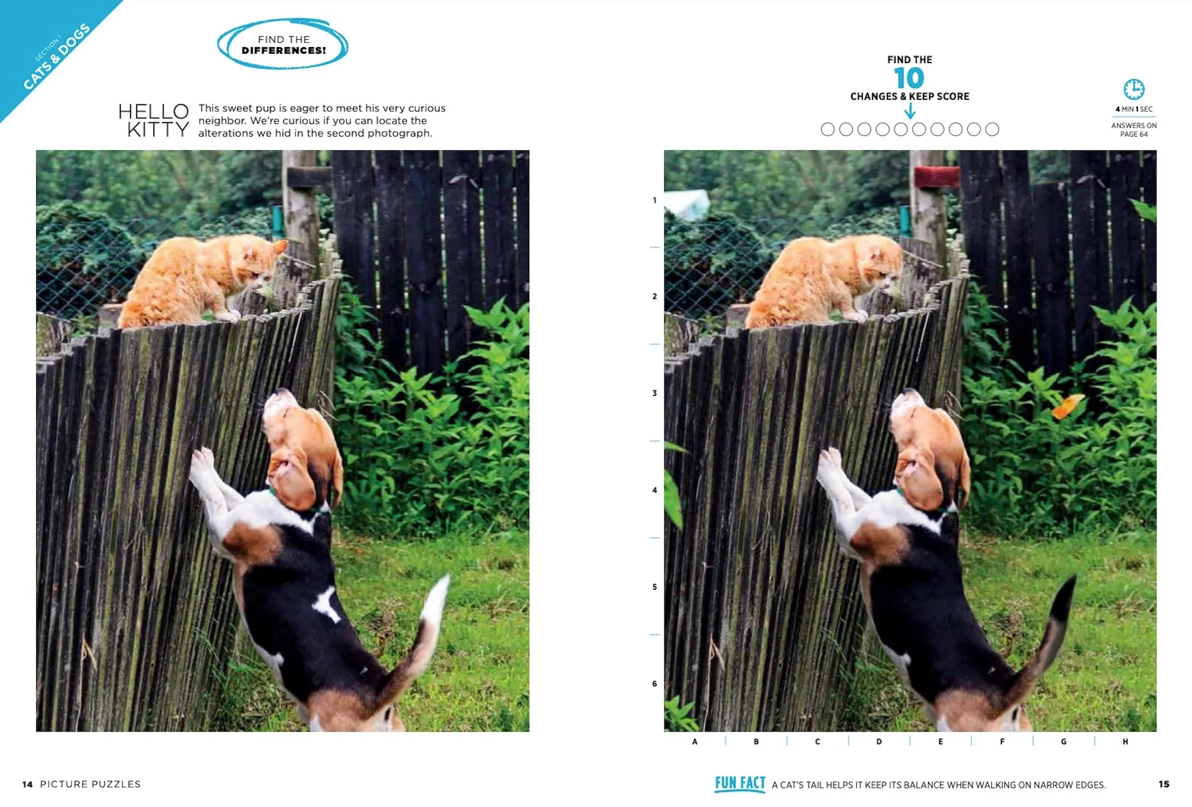 Brain Fun - Picture Puzzles: All Cat Edition, Spot 303 Differences, 3 Skill Levels