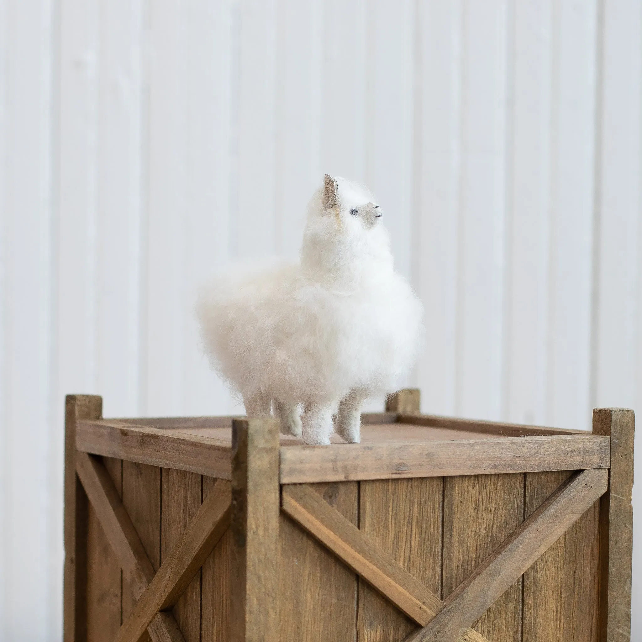 Stuffed Alpacas