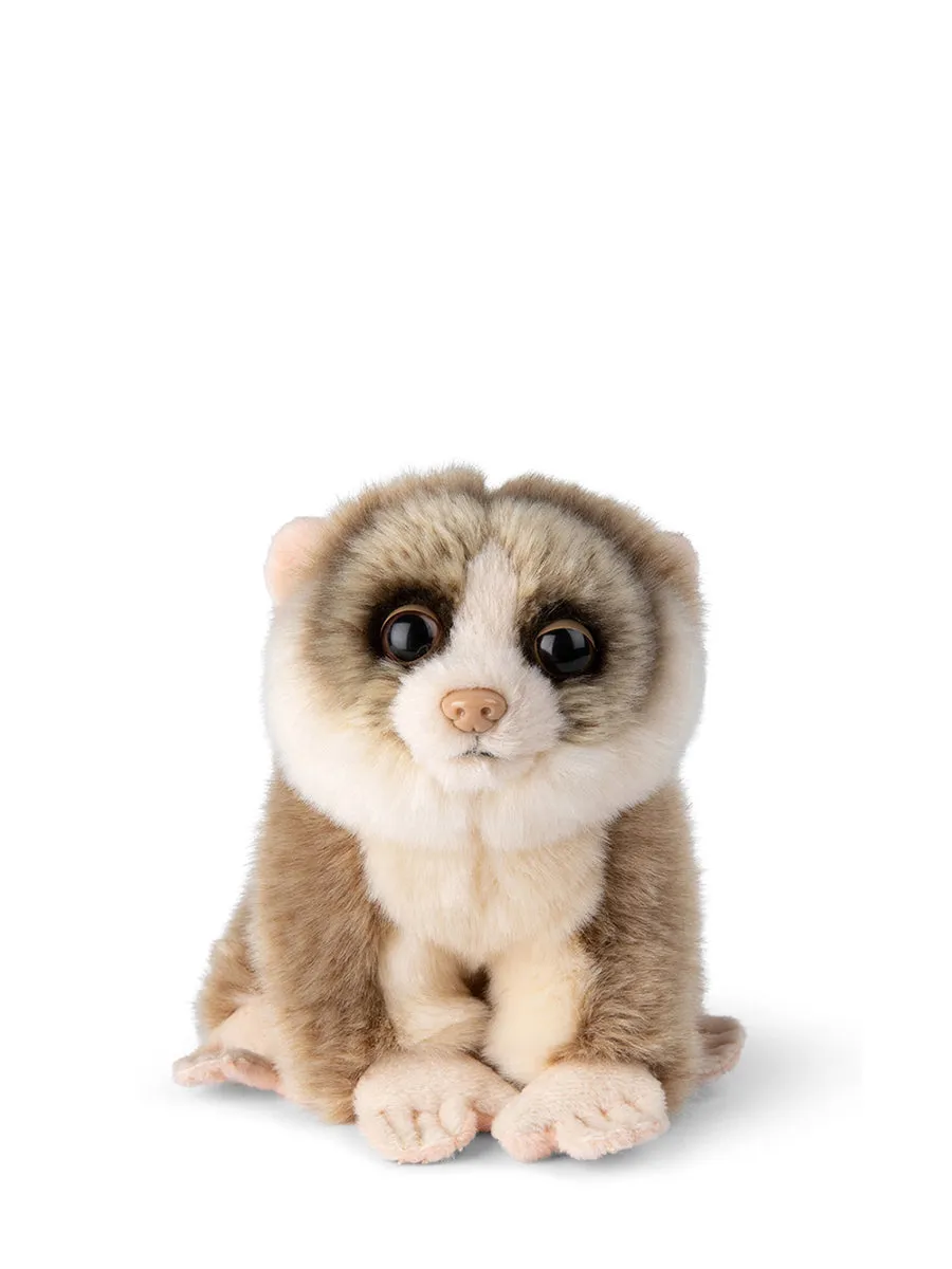 WWF Loris